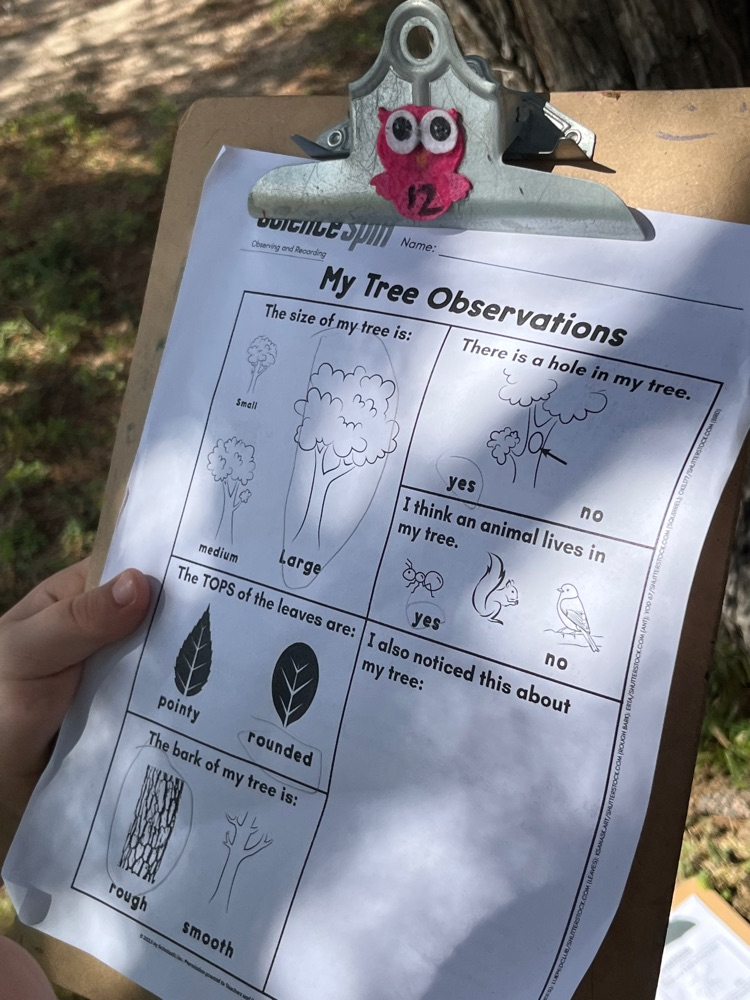 tree observation paper